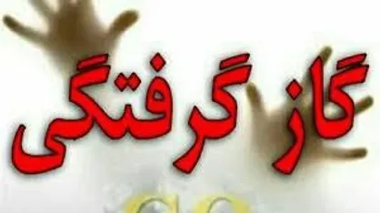 گاز گرفتگی هشت نفر از اهالی روستایی در مشهد