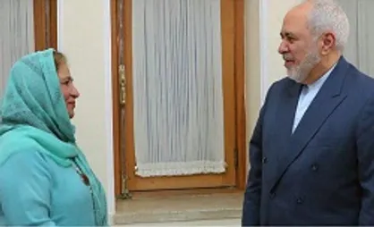 دیدار سفیر پاکستان با ظریف