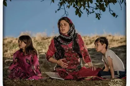 اکران &laquo;درخت گردو&raquo; به بار نشست