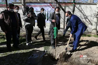 دانشگاه تهران، دانشگاه دوستدار محیط زیست