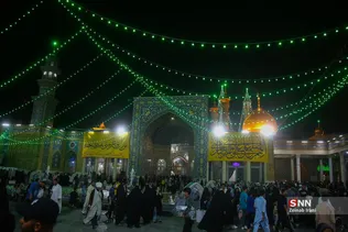 دبب