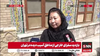 کوله&zwnj;ای که یک مقام سازمان ملل در ایران را متاثر کرد
