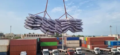 کشتی حامل ۱۶ هزار تن برنج وارداتی در بندر بوشهر پهلو گرفت
