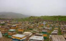 توصیه‌های سازمان هواشناسی به کشاورزان