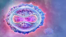 با استفاده از نانوذرات لیپیدی و mRNA واکسن ضدآبله میمونی ساخته شد