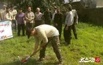 کبوتر رحمت
