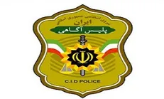 صدور گواهی سوء پیشینه رایگان در راهپیمایی ۲۲ بهمن