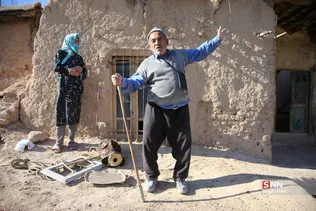 دبب