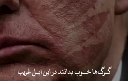 گرگ&zwnj;ها خوب بدانند در این ایل غریب، گر پدر نیست تفنگ پدری هست هنوز