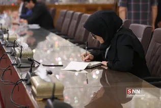 دیدار علی لاریجانی با نایب رئیس مجلس نیجریه