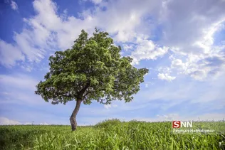 جلوه های زیبای طبیعت