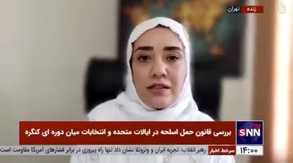کارشناس مسائل بین&zwnj;الملل: بحث سلاح در ایالات متحده بیشتر به مباحث فرهنگی مربوط است تا مباحث سیاسی