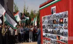 دانشگاه شریف
