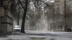 مدیریت بحران برای احتمال وقوع تند باد لحظه‌ای در استان تهران هشدار داد