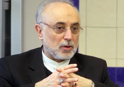 علی&zwnj;اکبر صالحی: نخبگان دغدغه&zwnj;مند همراه خادمان خود در بنیاد ایران&zwnj;شناسی باشند