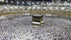 فراخوان حج ۹۹ بزودی اعلام می‌شود/ اعزام زائران به سوریه در حال انجام است