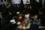 دبب