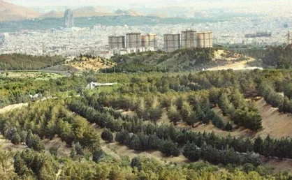 عبور مساحت جنگل&zwnj;کاری شهر تهران از مرز ۵۰ هزار هکتار