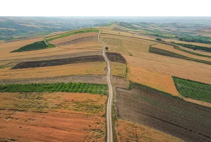 طرح جهش تولید در ۳۶۰ هزار هکتار از دیمزارهای استان اردبیل ادامه دارد