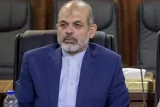 وزیر کشور: استاندار کربلا به تهران می‌آید/ آمادگی استانداران مرزی برای مراسم اربعین