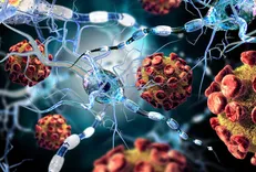 بسته‌های حاوی RNA در بدن انتی بادی ضد کرونا تولید می‌کند