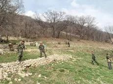 دستگیری ۱۰۱ متخلف منابع طبیعی در کهگیلویه و بویراحمد