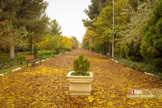 جلوه های پاییزی قم به روایت تصویر
