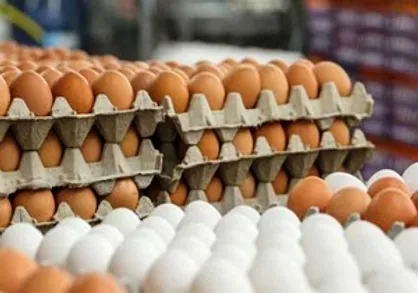 قیمت هر شانه تخم&zwnj;مرغ در میادین میوه و تره بار اعلام شد