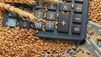 افزایش قیمت کالا&zwnj;های اساسی در بازار&zwnj;های جهانی