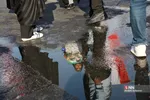 دبب