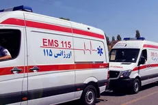 واژگونی اتوبوس جاده کرمان به راور ١١ قربانی گرفت