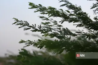 بازدید معاون رئیس جمهور و رئیس سازمان حفاظت محیط زیست از کانون های فوق بحرانی جنوب شرق 