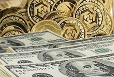قیمت دلار ۲۳۱۰۲ تومان شد؛ سکّه ۱۰,۹۱۰,۰۰۰