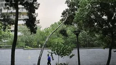 وزش باد شدید در تهران/ افزایش دما از جمعه
