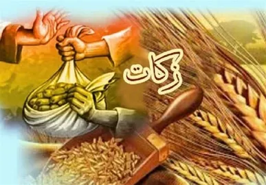 گلستانی‌ها ۱۵۶ میلیارد تومان زکات دادند