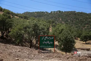 بازفت