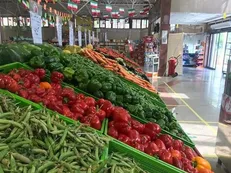 عوارض آلودگی هوا را با این میوه و سبزی کم کنید