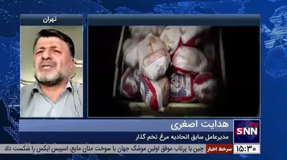 مدیرعامل سابق اتحادیه مرغ تخم گذار: بازار مرغ رها شده است / وزارت جهاد کشاورزی نتوانست وظایف خود را به خوبی ایفا کند