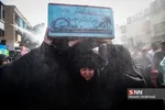 شهدا