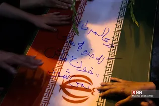 دبب