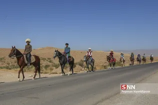 اسب