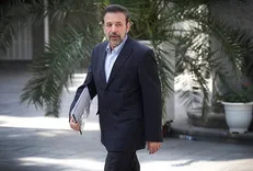 واعظی: در فضای مجازی فعال خواهم ماند