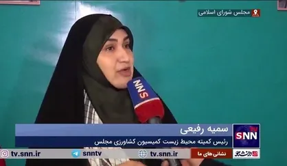 رفیعی: دوگانه &laquo;خاموشی یا آلودگی&raquo; کاملاً اشتباه است/ قطع برق مردم با ژست محیط زیستی رویکردی نادرست است