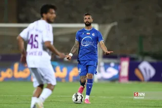 دبب