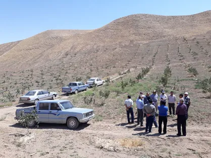 رئیس دانشکده کشاورزی از حوزه&zwnj;های دامپروری شهرستان کلات بازدید کرد