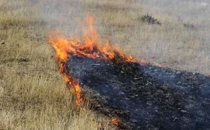۲۶۰ هکتار از جنگل&zwnj;های ارسباران در آتش سوخت