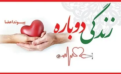 انجام ۲۳۲ مورد اهدای عضو در استان کرمان