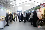  زائران اربعین
