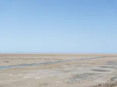 توقف پروژه ۶۰۰۰ هکتاری پرورش میگو در استان گلستان