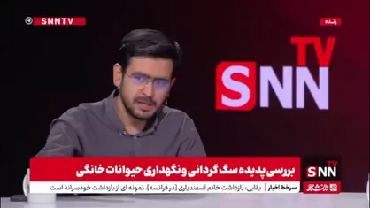 نادری: زمانی بود که به شیر خشک ارز واردات نمی&zwnj;دادند اما به پت شاپ ها ارز تعلق می&zwnj;گرفت